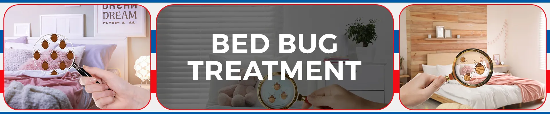 carpet cleaning in brooklyn, carpet cleaning in brooklyn, carpet cleaning brooklyn, carpet cleaners in brooklyn, carpet cleaners in brooklyn, commercial carpet cleaning, commercial carpet cleaning in brooklyn, brooklyn rug cleaners, rug cleaning services in brooklyn, same day carpet cleaning, same day rug cleaning