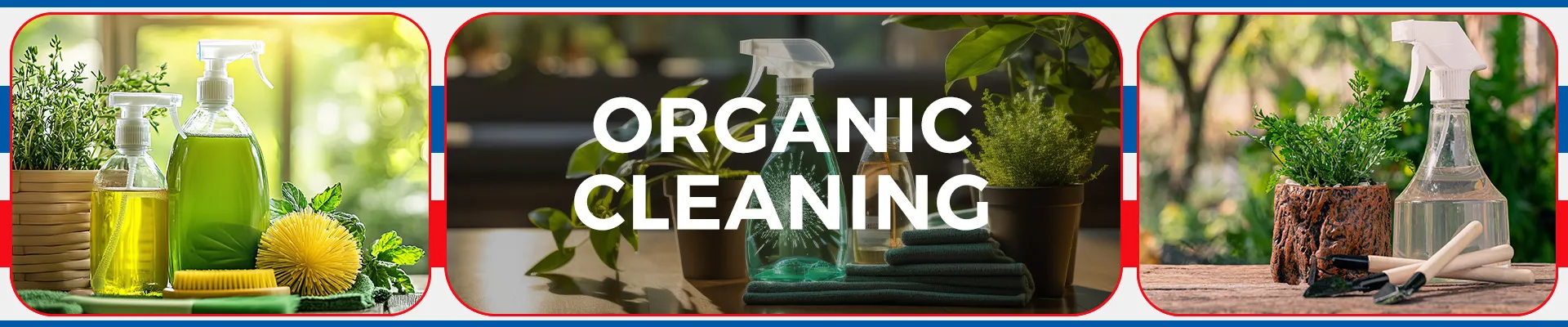 carpet cleaning in brooklyn, carpet cleaning in brooklyn, carpet cleaning brooklyn, carpet cleaners in brooklyn, carpet cleaners in brooklyn, commercial carpet cleaning, commercial carpet cleaning in brooklyn, brooklyn rug cleaners, rug cleaning services in brooklyn, same day carpet cleaning, same day rug cleaning