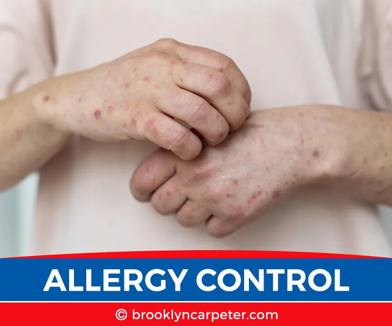 carpet cleaning in brooklyn, carpet cleaning in new york, carpet cleaning brooklyn, carpet cleaners in brooklyn, carpet cleaners in new york, commercial carpet cleaning, commercial carpet cleaning in brooklyn, brooklyn rug cleaners, rug cleaning services in brooklyn, same day carpet cleaning, same day rug cleaning