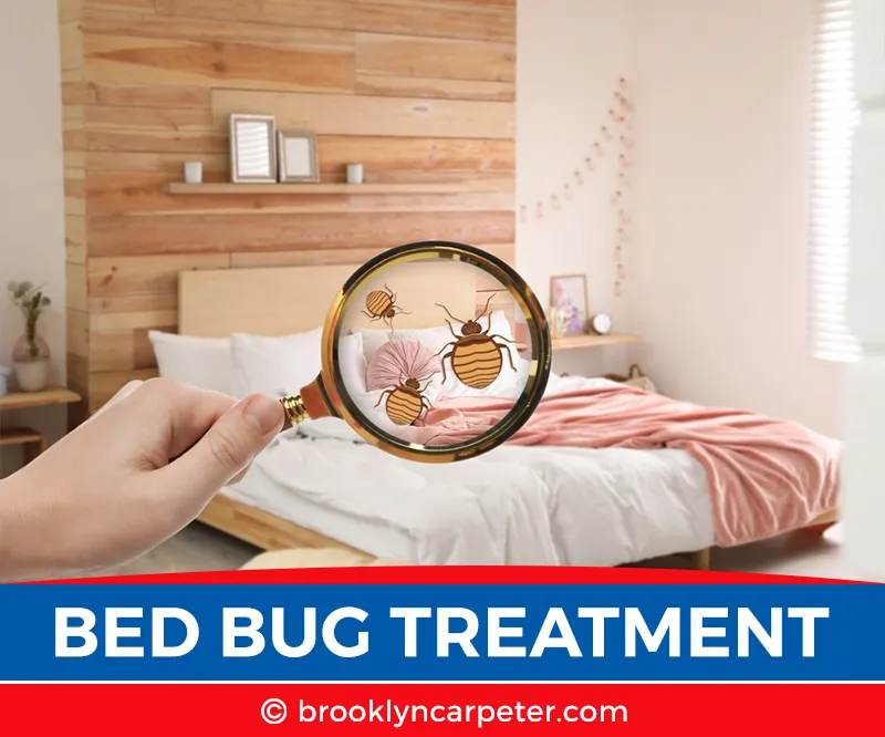 carpet cleaning in brooklyn, carpet cleaning in new york, carpet cleaning brooklyn, carpet cleaners in brooklyn, carpet cleaners in new york, commercial carpet cleaning, commercial carpet cleaning in brooklyn, brooklyn rug cleaners, rug cleaning services in brooklyn, same day carpet cleaning, same day rug cleaning