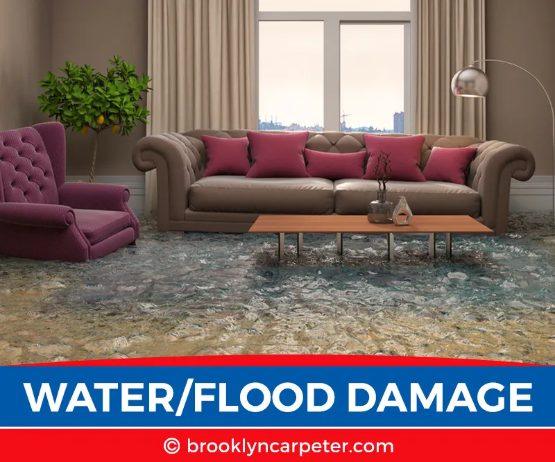 carpet cleaning in brooklyn, carpet cleaning in new york, carpet cleaning brooklyn, carpet cleaners in brooklyn, carpet cleaners in new york, commercial carpet cleaning, commercial carpet cleaning in brooklyn, brooklyn rug cleaners, rug cleaning services in brooklyn, same day carpet cleaning, same day rug cleaning